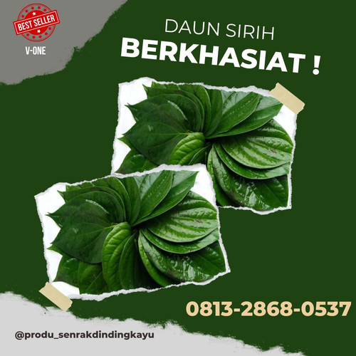 daun sirih 5.jpg