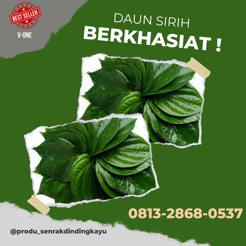 daun sirih 3.jpg