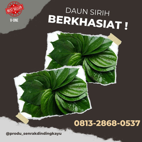 daun sirih 1.jpg
