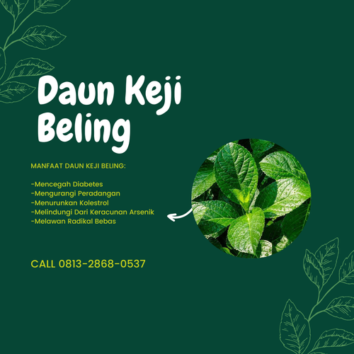 Desain Daun Keji 61.png
