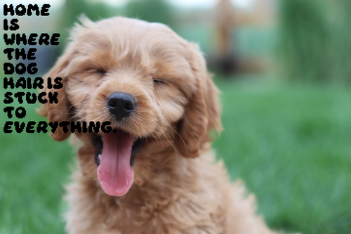 82292ea5f9c7.png