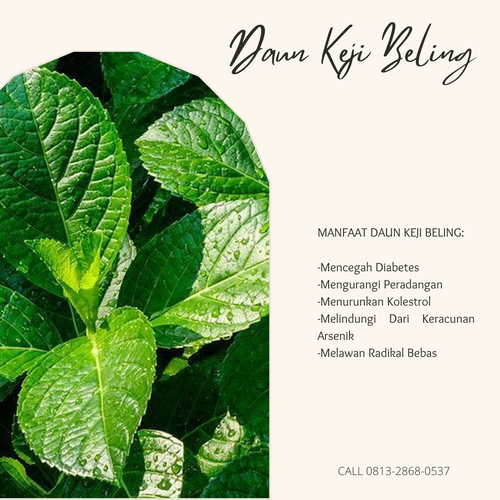 Desain Daun Keji 64.png