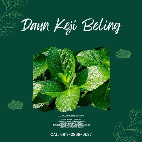 Desain Daun Keji 65.png