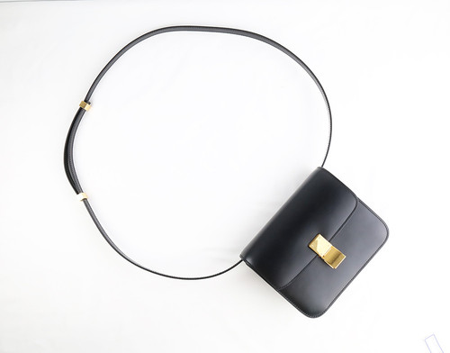 celine 0192523DLS.38NO 6.jpg