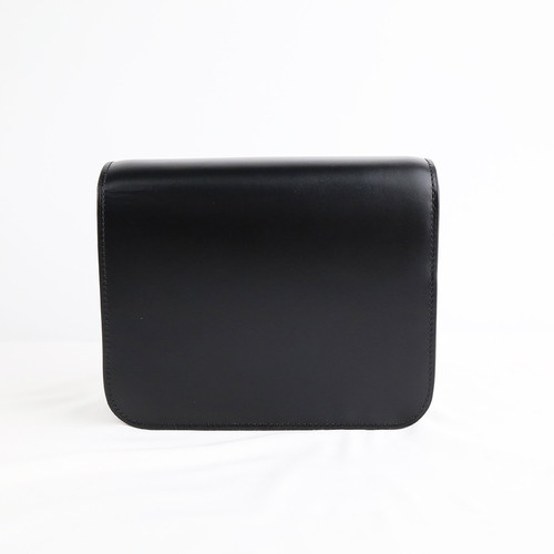 celine 0192523DLS.38NO 2.jpg