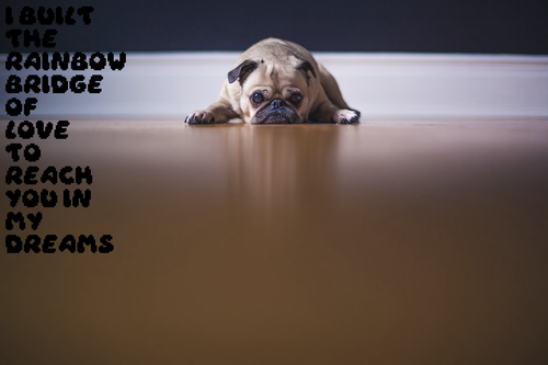 88fb38675655.png