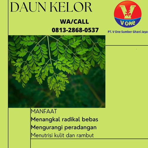 Pusat Budidaya Herbal Daun Kelor rempah Tambak Bayumas.jpg