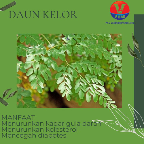 Pusat Budidaya Herbal Daun Kelor ruqyah Tambak Bayumas.jpg