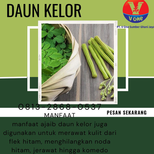 Pusat Budidaya Herbal Daun Kelor rosella Tambak Bayumas.jpg