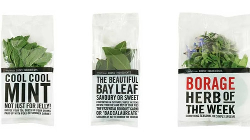 Minimal Packaging Design.jpg