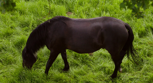 5120a548d2c4.png