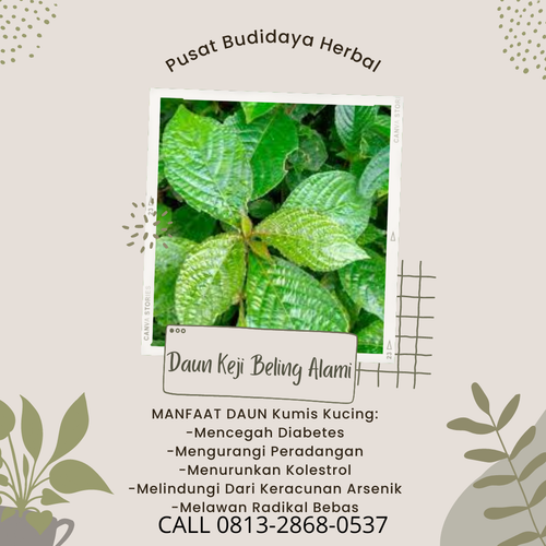 desain daun keji beling 17.png