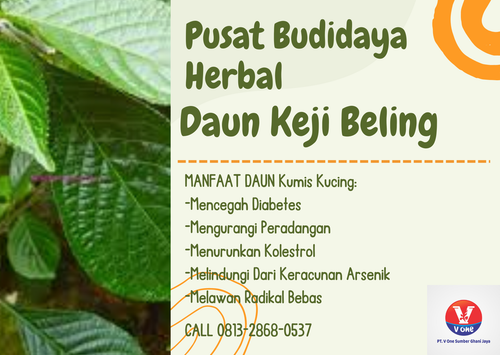 desain daun keji beling 20.png