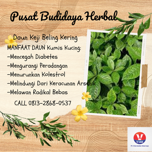 desain daun keji beling 19.png