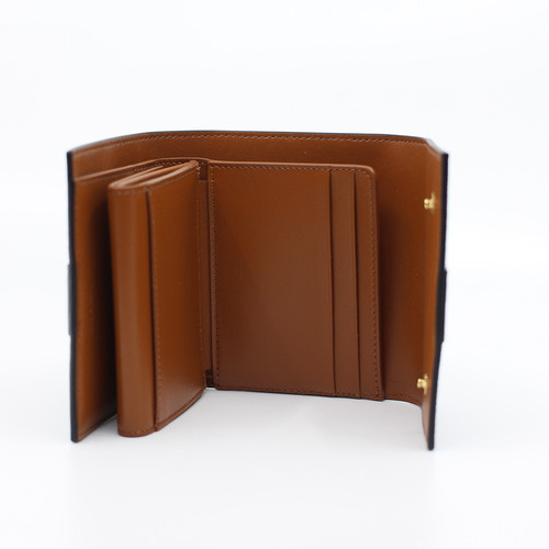celine 010D572BZ9.04LU 4.jpg