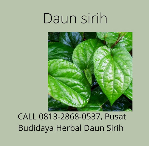 WhatsApp Image 2022 11 16 at 11.30.42 AM.jpg