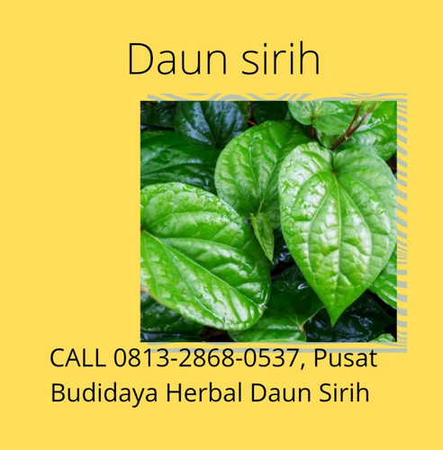 WhatsApp Image 2022 11 16 at 11.31.30 AM.jpg