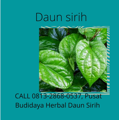 WhatsApp Image 2022 11 16 at 11.31.07 AM.jpg