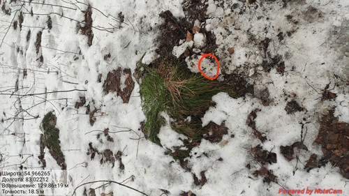 IMG 20221116 124249.jpg