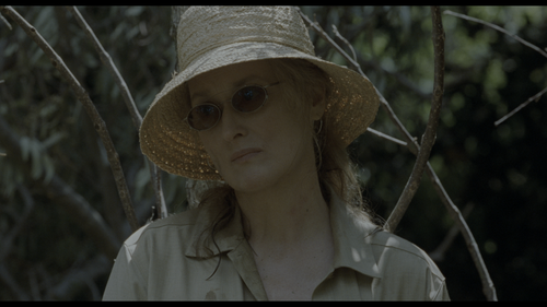 Adaptation.2002.UHD.BluRay.REMUX.2160p.HEVC.TrueHD7.1.Atmos HDS.mkv 20230103 204347.807.png