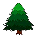 spruce.png
