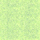 mazegrass3.jpg