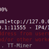 wrong wallet address