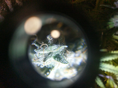 IMG 20191208 091838.jpg