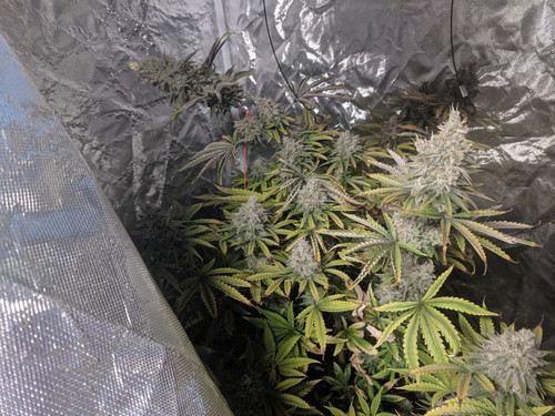 IMG 20191208 092056.jpg