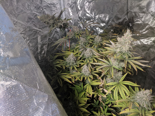 IMG 20191208 092057.jpg