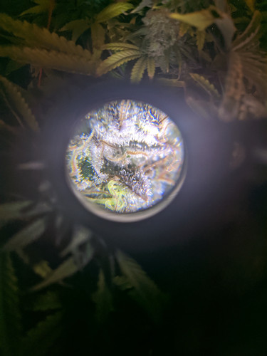 IMG 20191208 092441.jpg