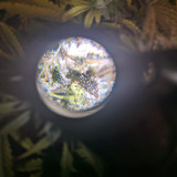 IMG 20191208 092442 1