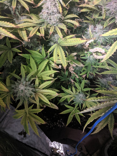 IMG 20191208 092513.jpg