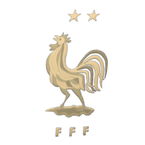francegoldlogo removebg preview.png