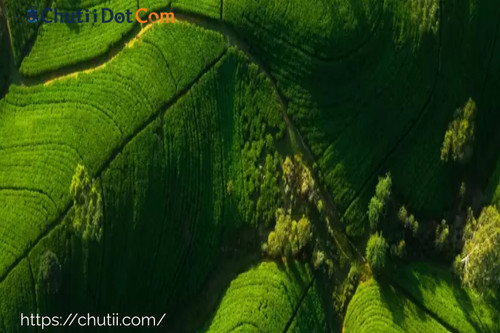Chutii Dot Com: Best Rated Sikkim Tour Provider in Kolkata, India.jpg
