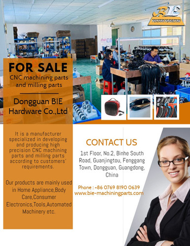 Dongguan BIE Hardware CoLtd.jpg