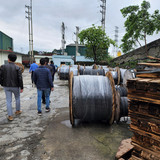 1648 CHI NHÁNH CÔNG TY TNHH DÂY VÀ CÁP ĐIỆN TRƯỜNG THỊNH (2)