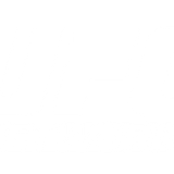 UFC Network