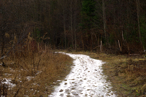 IMG 4754.jpg