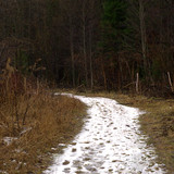 IMG 4754