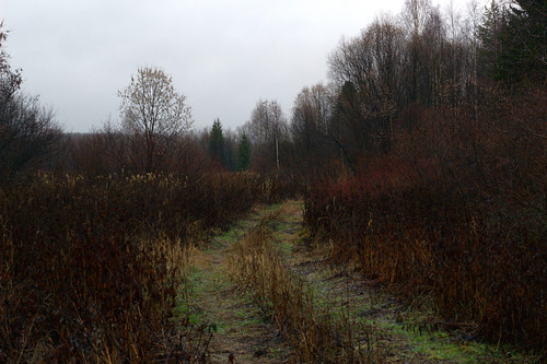 IMG 4765.jpg