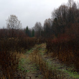 IMG 4765