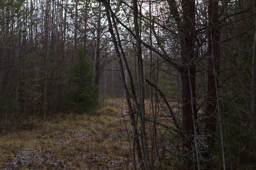 IMG 4631.jpg
