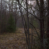 IMG 4631