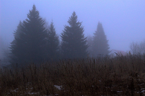 IMG 4730.jpg