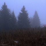 IMG 4730