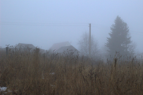 IMG 4740.jpg