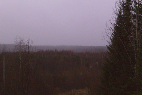 IMG 4654.jpg