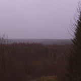 IMG 4654