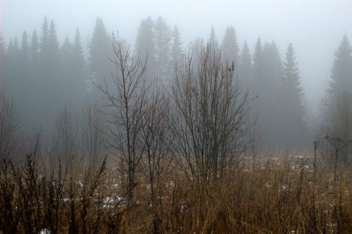 IMG 4732.jpg
